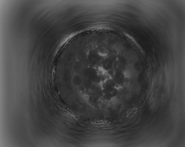 X0000052650823200507160221