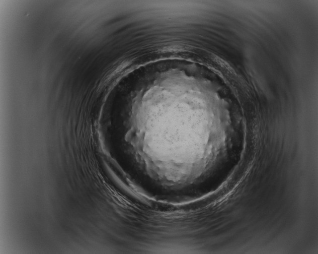 X0000052650825200507160221