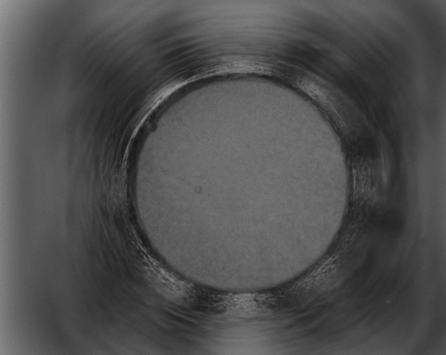 X0000052650828200507160221