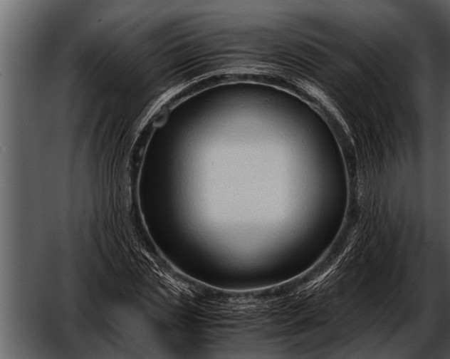 X0000052650829200507160221