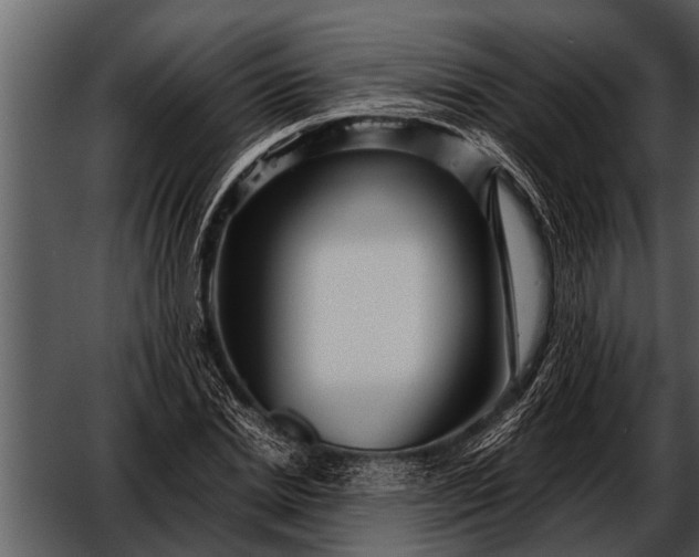 X0000052650830200507160221