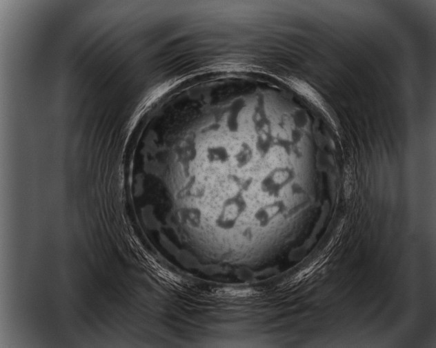 X0000052650831200507160221