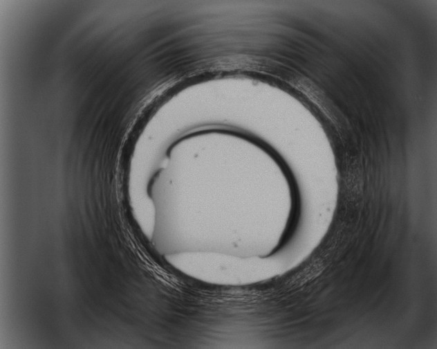 X0000052650832200507160221