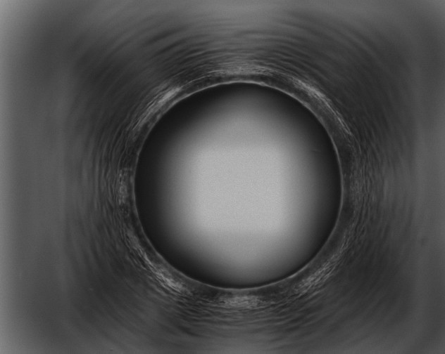 X0000052650833200507160221