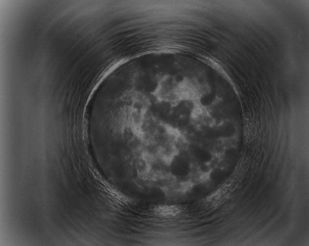 X0000052650835200507160221