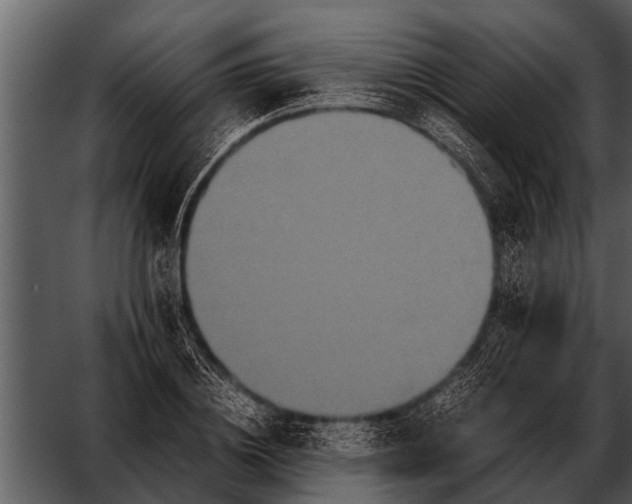 X0000052650836200507160221