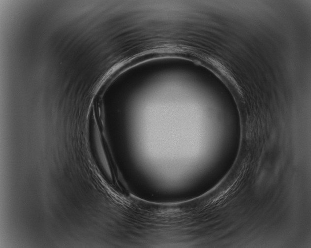 X0000052650837200507160221