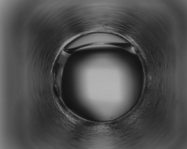 X0000052650838200507160221