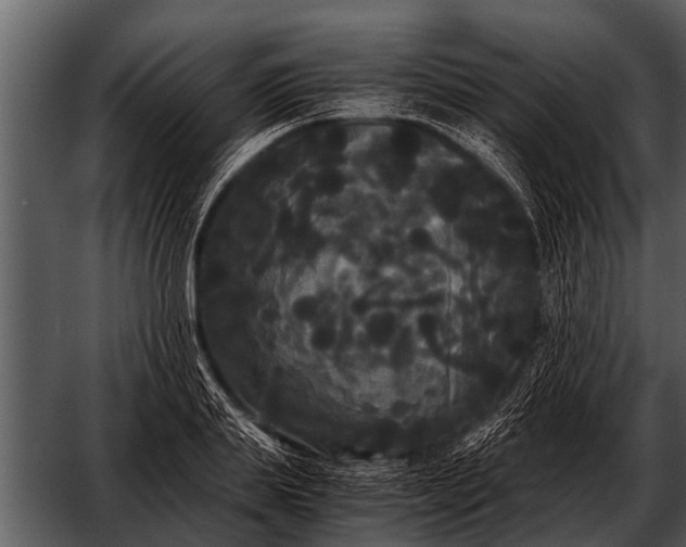 X0000052650839200507160221