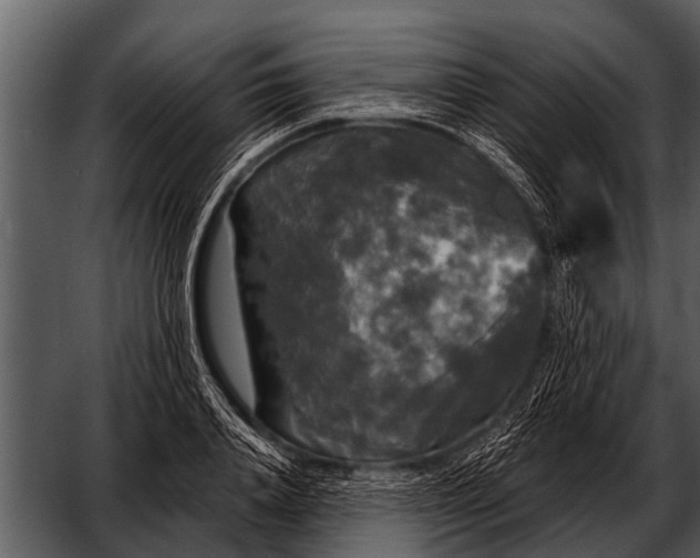 X0000052650840200507160221