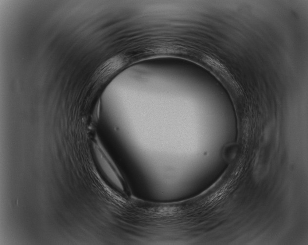 X0000052650841200507160221