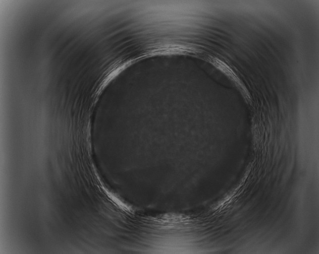 X0000052650842200507160221