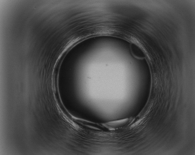 X0000052650843200507160221