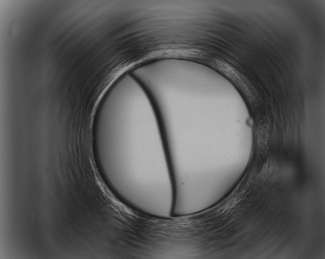 X0000052650844200507160221