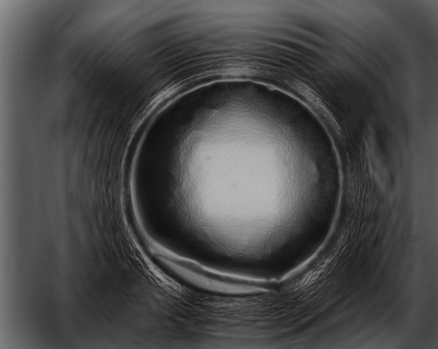 X0000052650845200507160221