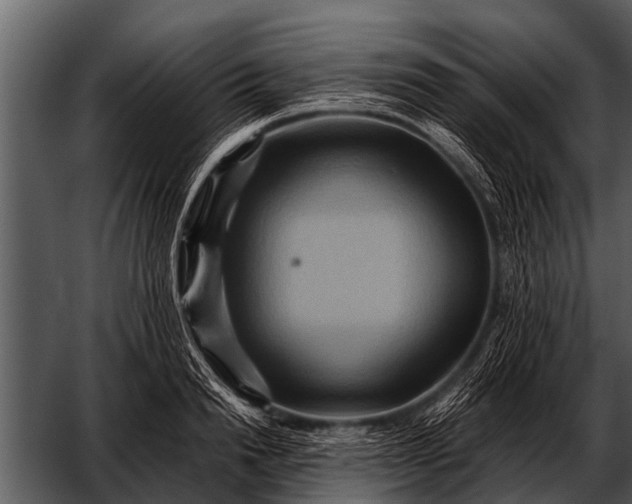 X0000052650846200507160221