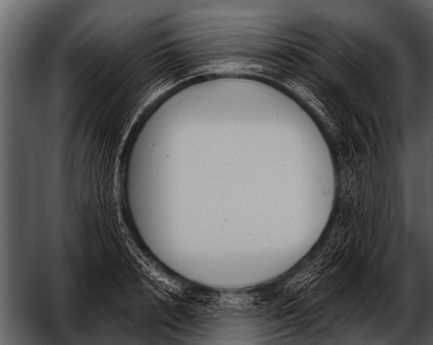 X0000052650848200507160221