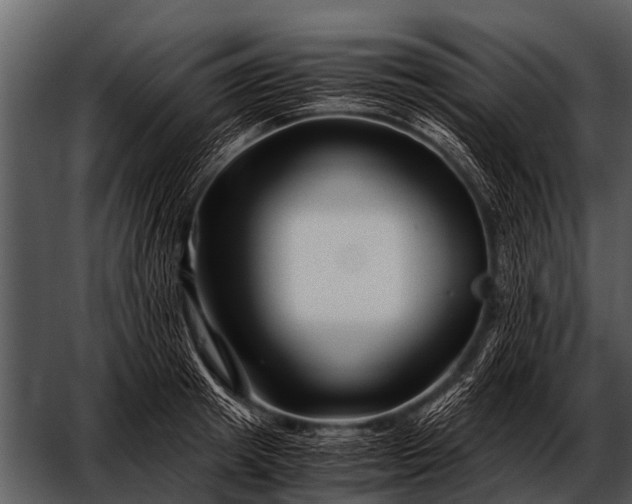 X0000052650849200507160221