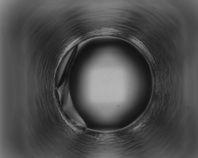 X0000052650850200507160221