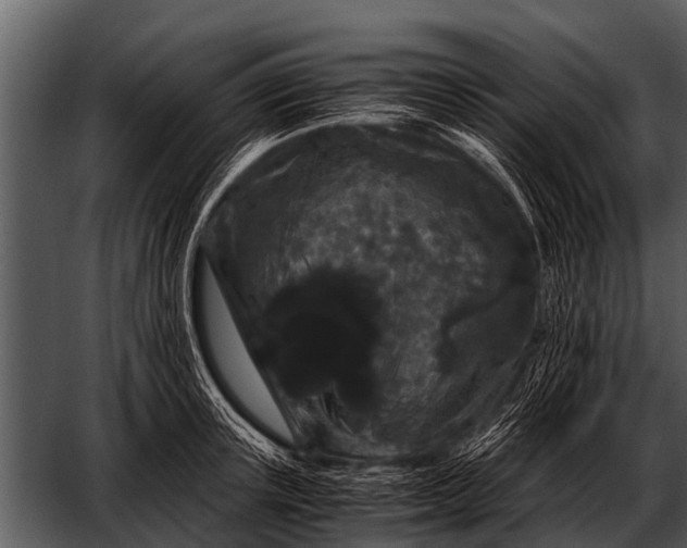 X0000052650851200507160221