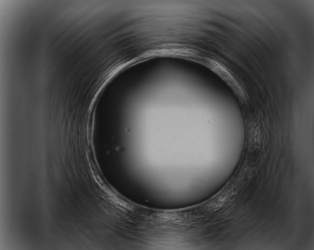 X0000052650852200507160221