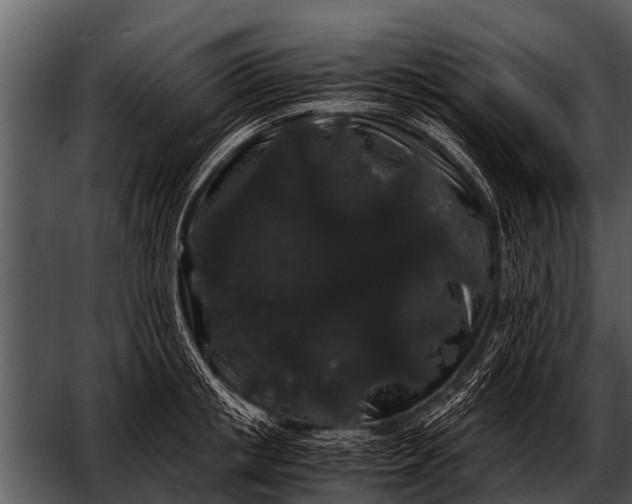 X0000052650853200507160221