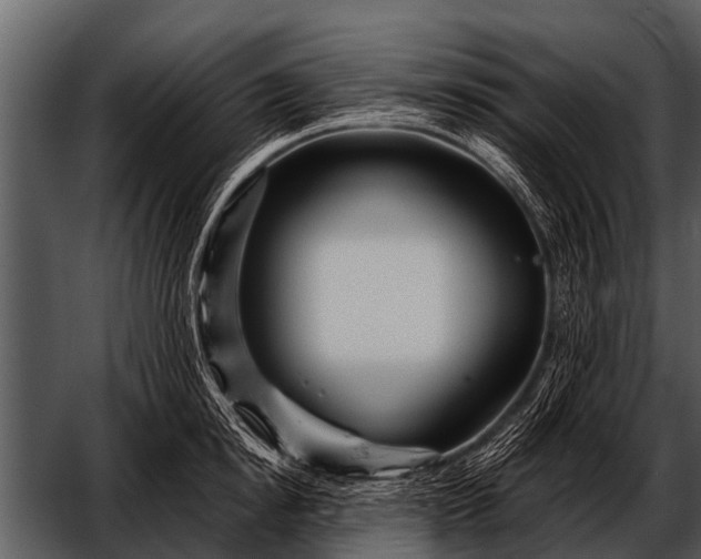 X0000052650854200507160221