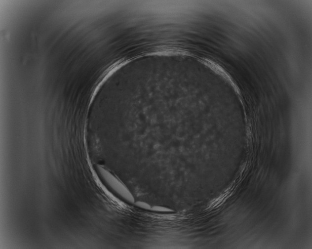 X0000052650855200507160221