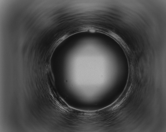 X0000052650857200507160221