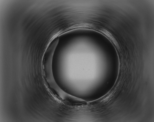 X0000052650858200507160221