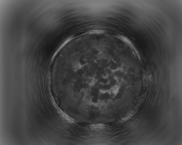 X0000052650859200507160221