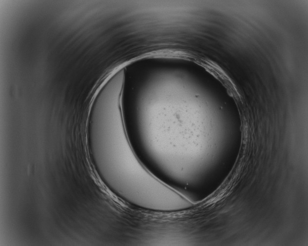 X0000052650860200507160221