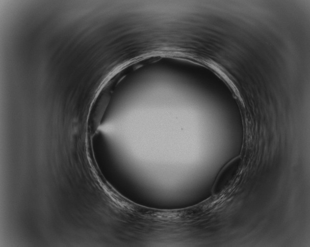 X0000052650861200507160221