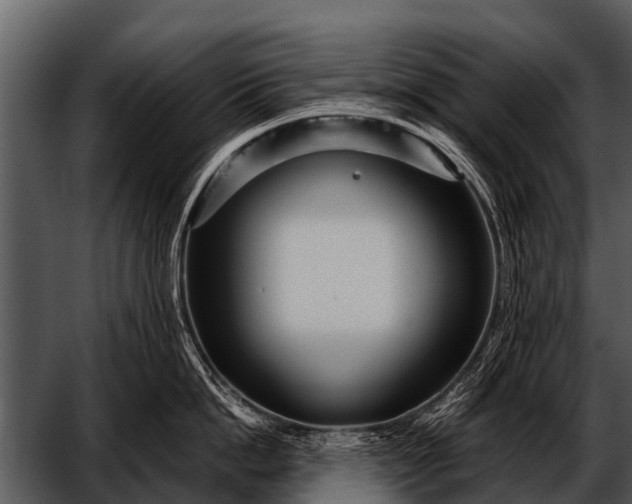 X0000052650862200507160221