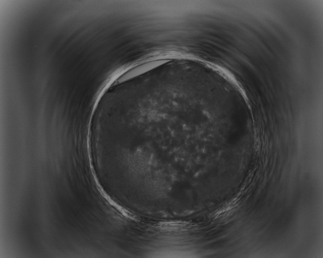 X0000052650863200507160221