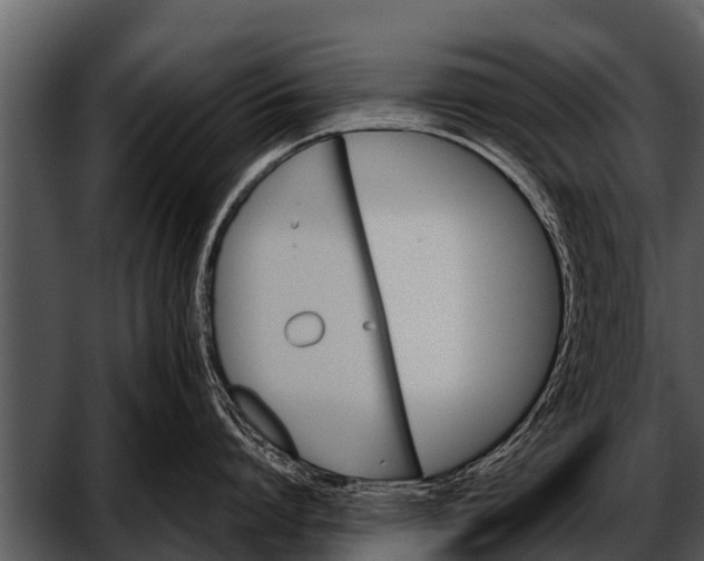 X0000052650864200507160221