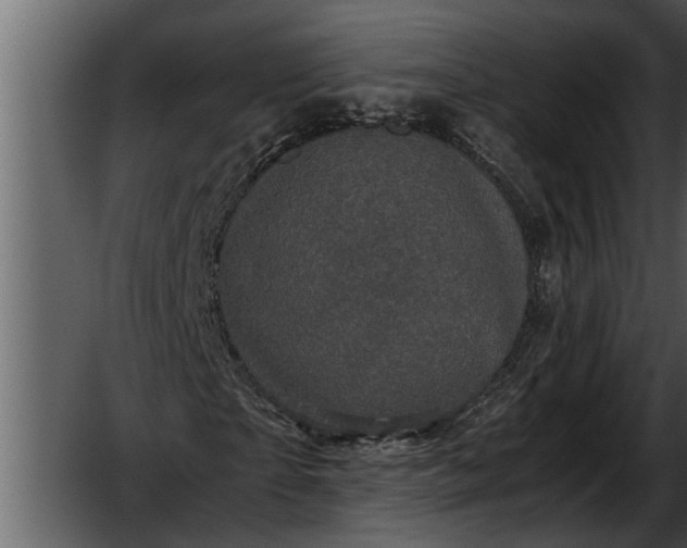 X0000052650865200507160220