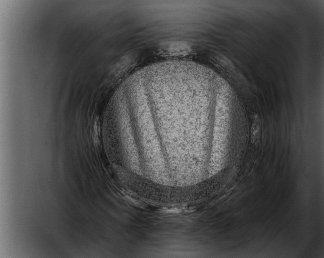 X0000052650866200507160220