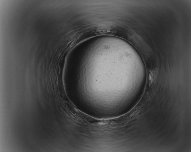 X0000052650867200507160220