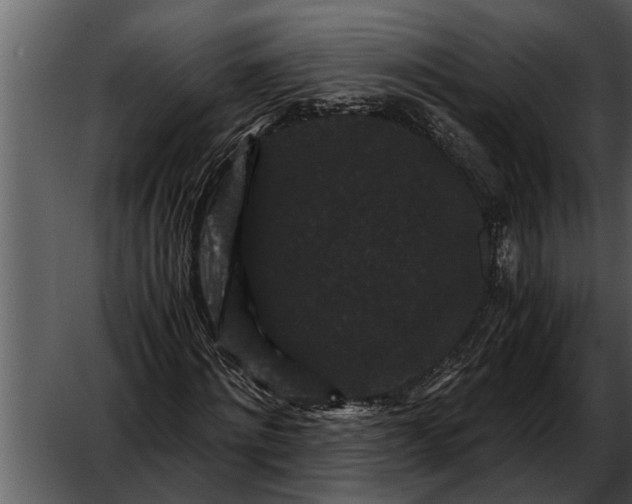 X0000052650868200507160220