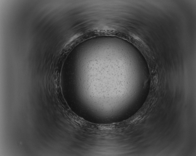 X0000052650870200507160220