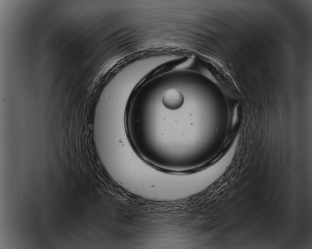 X0000052650871200507160220