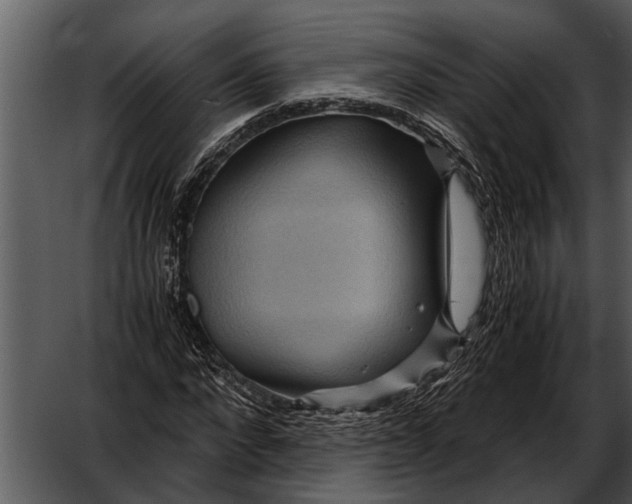 X0000052650872200507160220