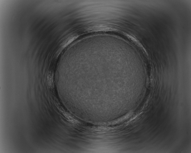 X0000052650873200507160220