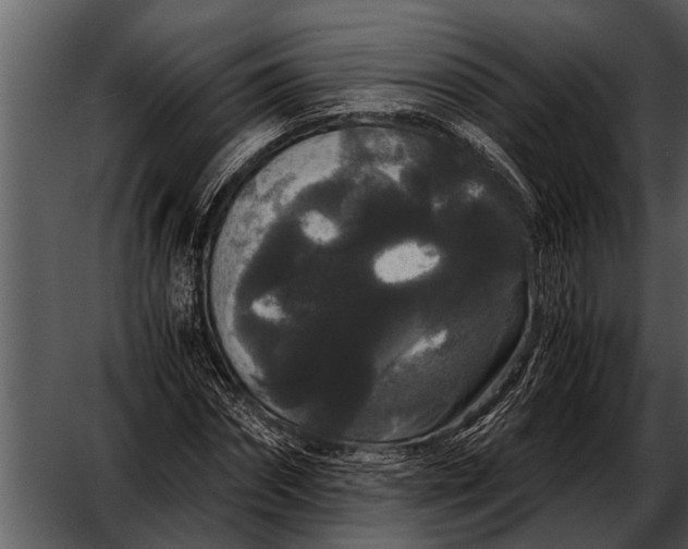 X0000052650874200507160220