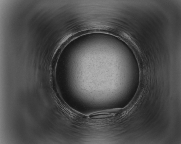 X0000052650875200507160220