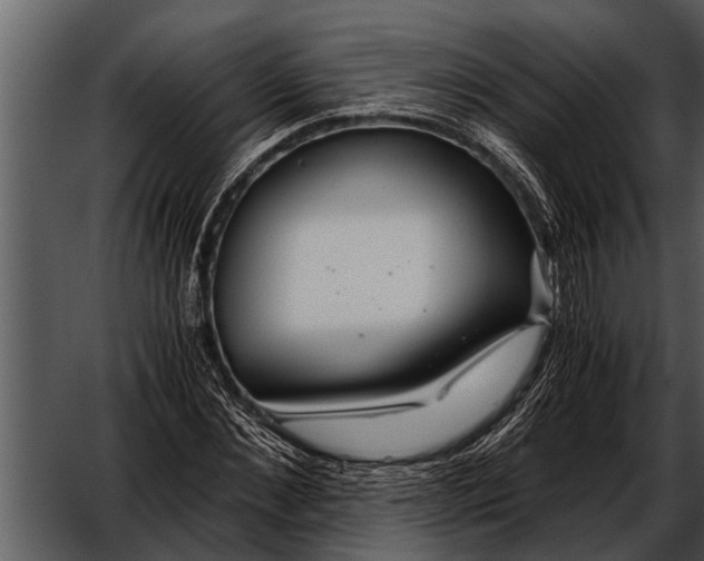 X0000052650876200507160220