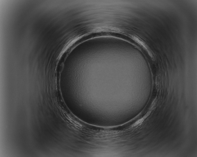 X0000052650877200507160220