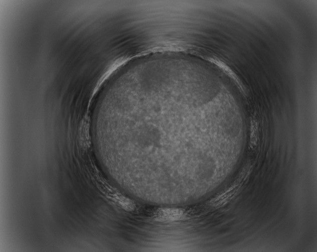 X0000052650878200507160220