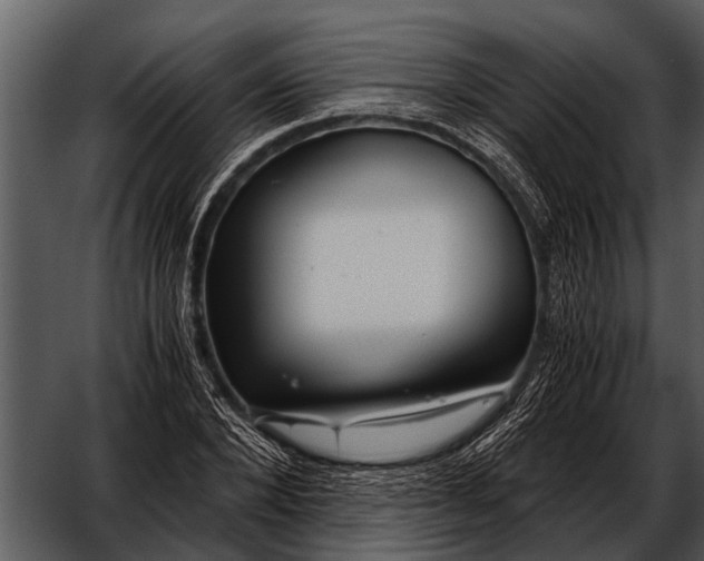 X0000052650880200507160220